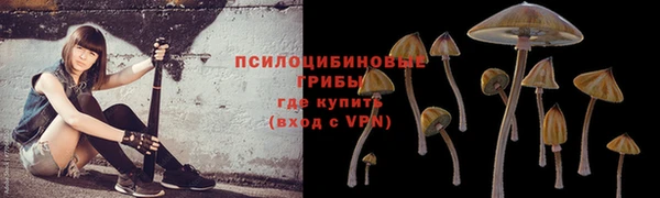 твердый Балабаново