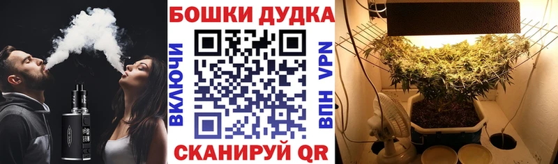 mega маркетплейс  где купить наркоту  Суворов  Бошки Шишки THC 21% 